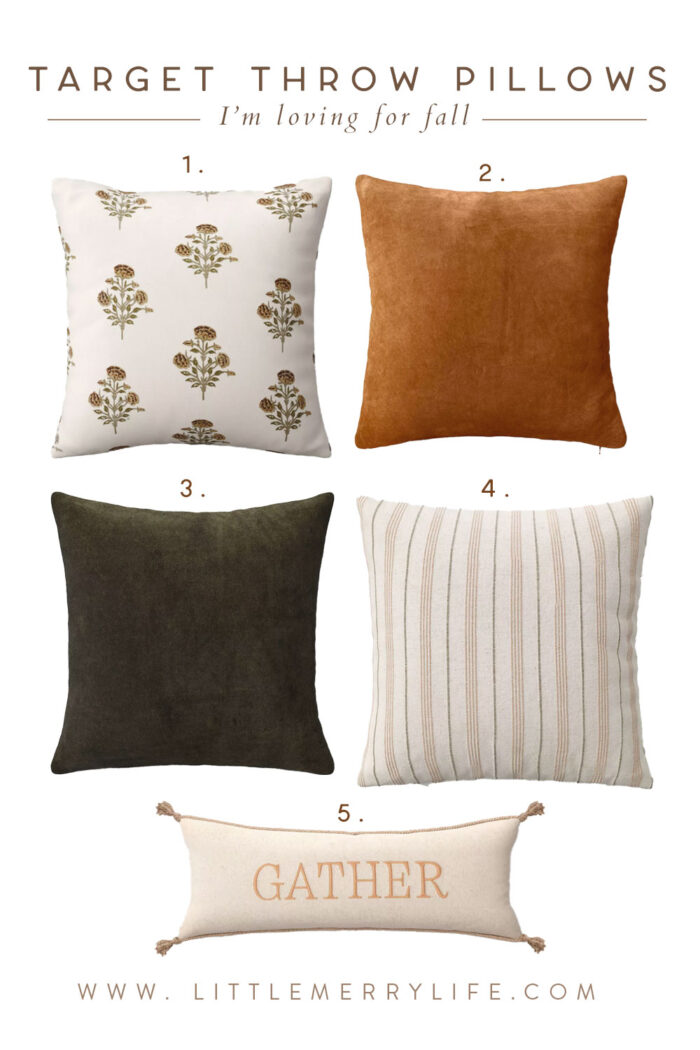 Affordable Fall Throw Pillows From Target For a Cozy Home